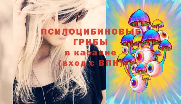 молекула духа Гусев