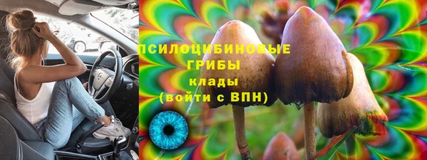 дживик Гусь-Хрустальный