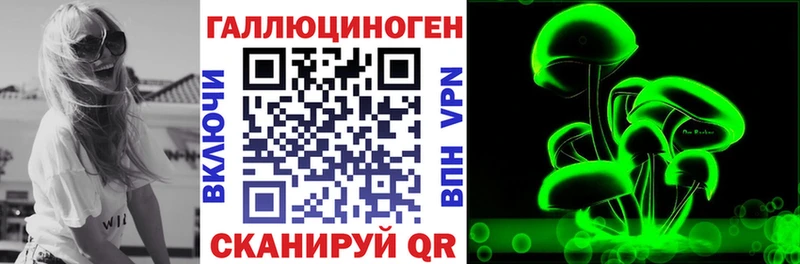 Купить где  Венёв  Псилоцибиновые грибы Cubensis 